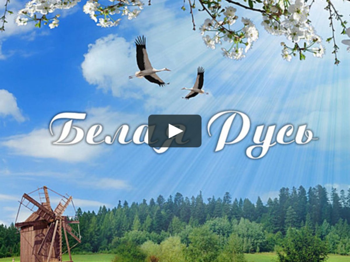 Белая Русь картинки