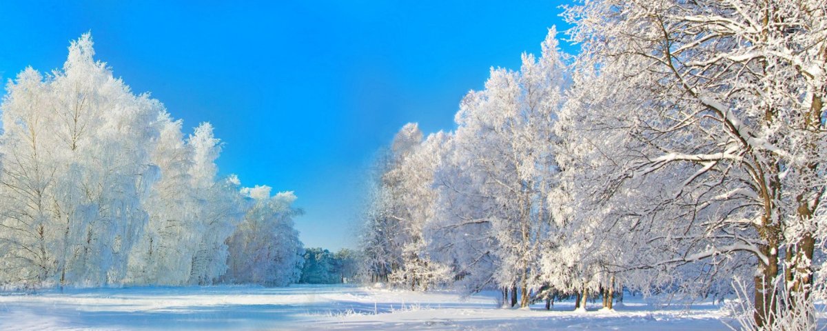 Обложка зима