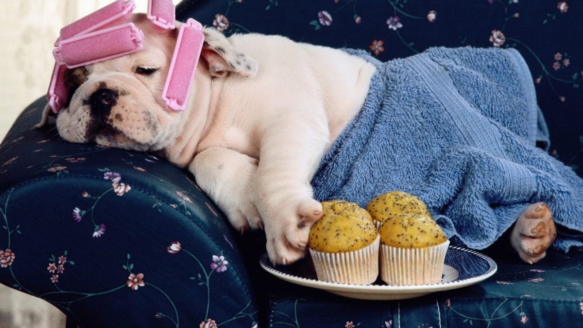 Доброе утро шуточные