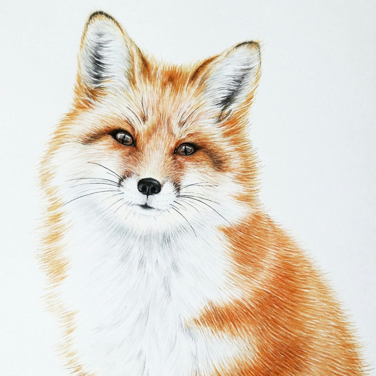 Лиса акварель клипарт