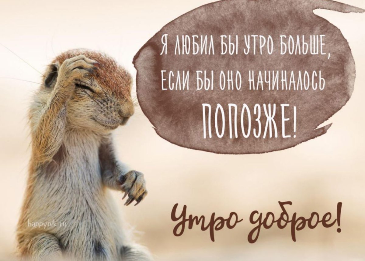 Доброе утро картинки прикольные