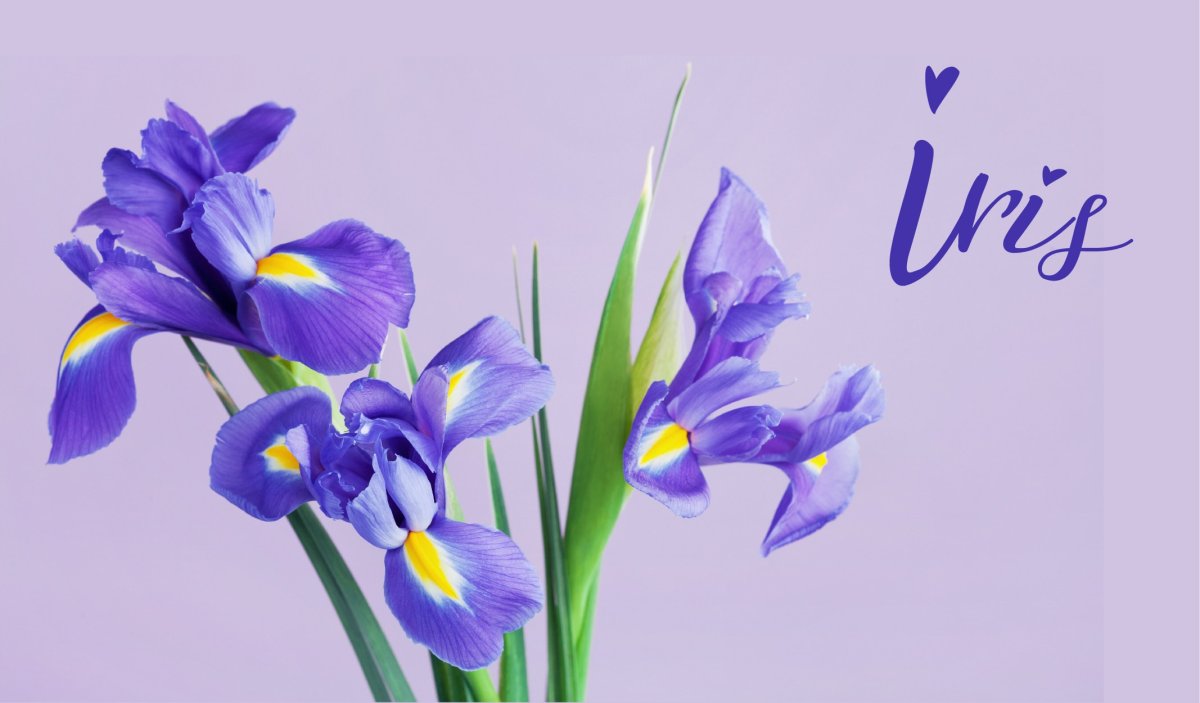 Чудного летнего доброго утра