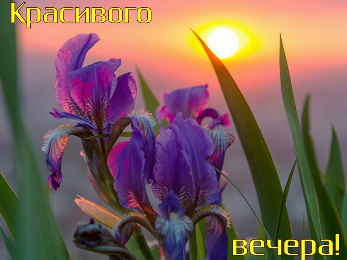 Ирисы часы скульптурная живопись