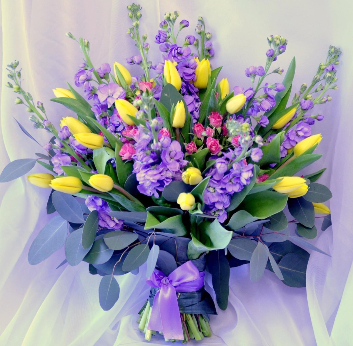 Сергей Андрияка ирисы