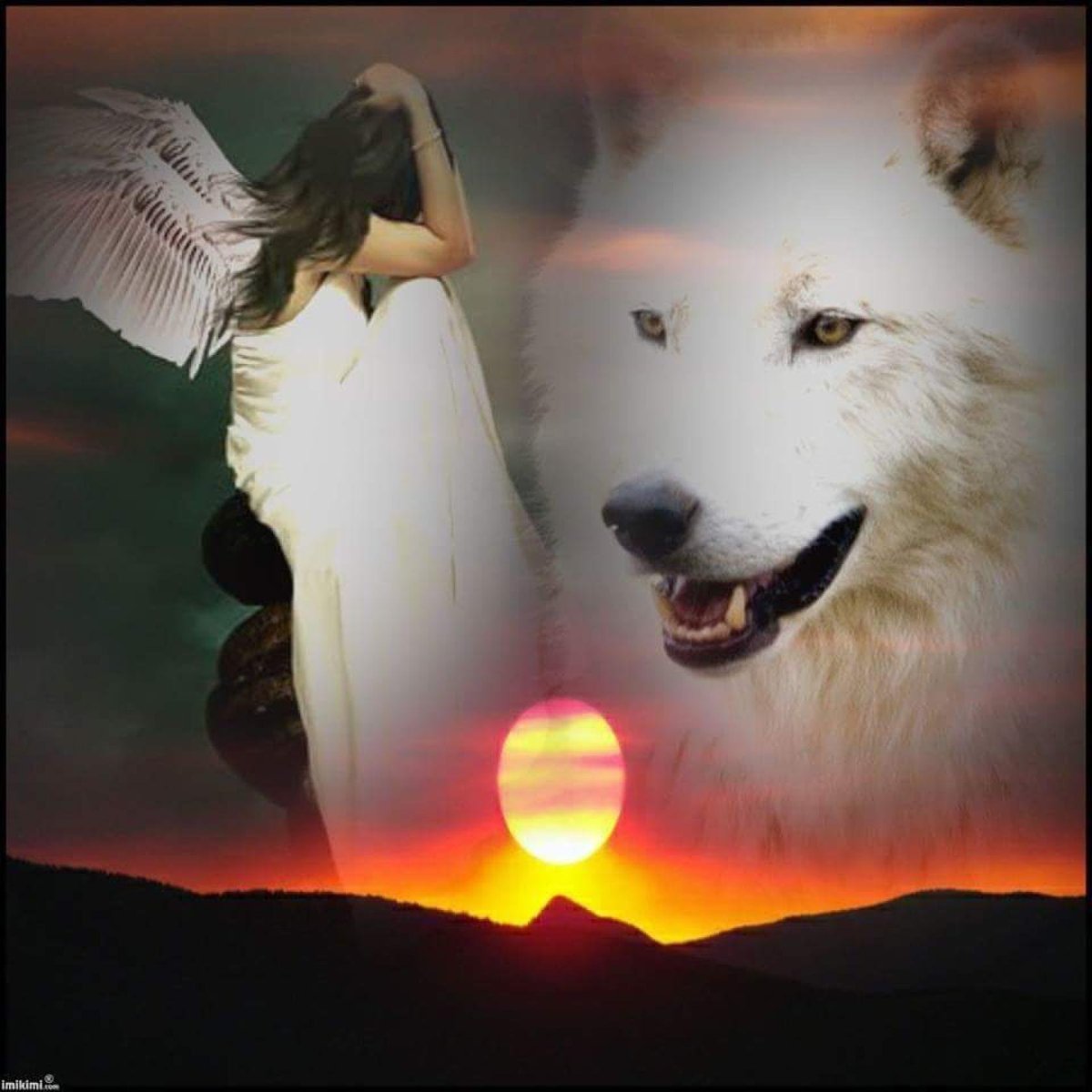 Взгляд волчицы