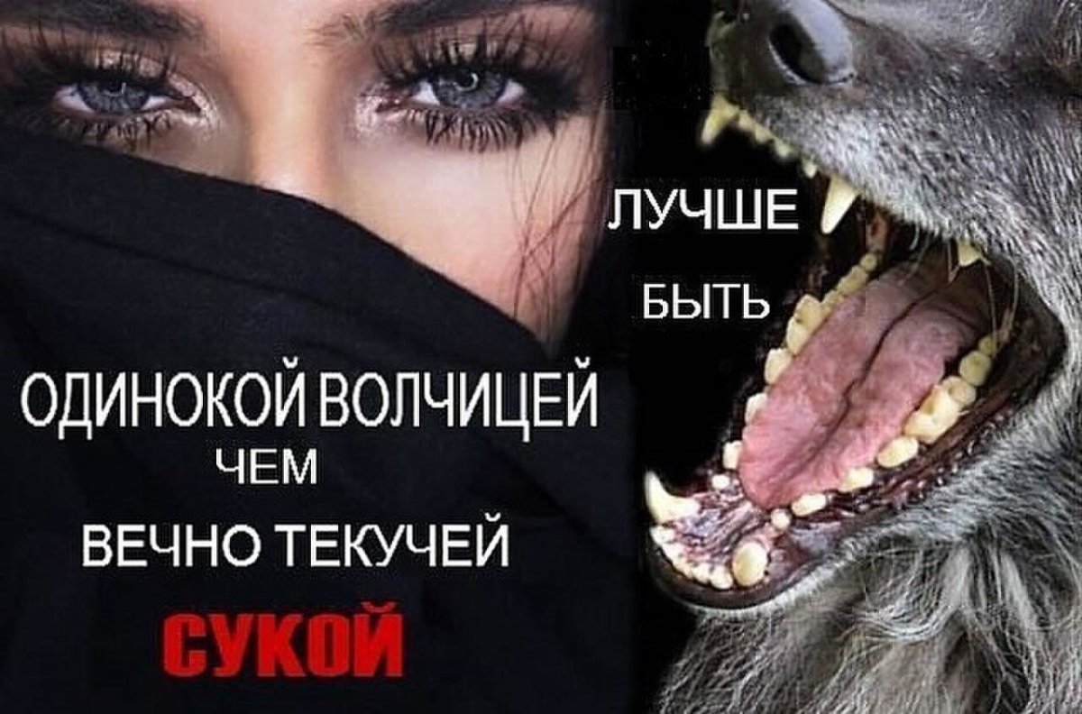 Блондинка с белым волком