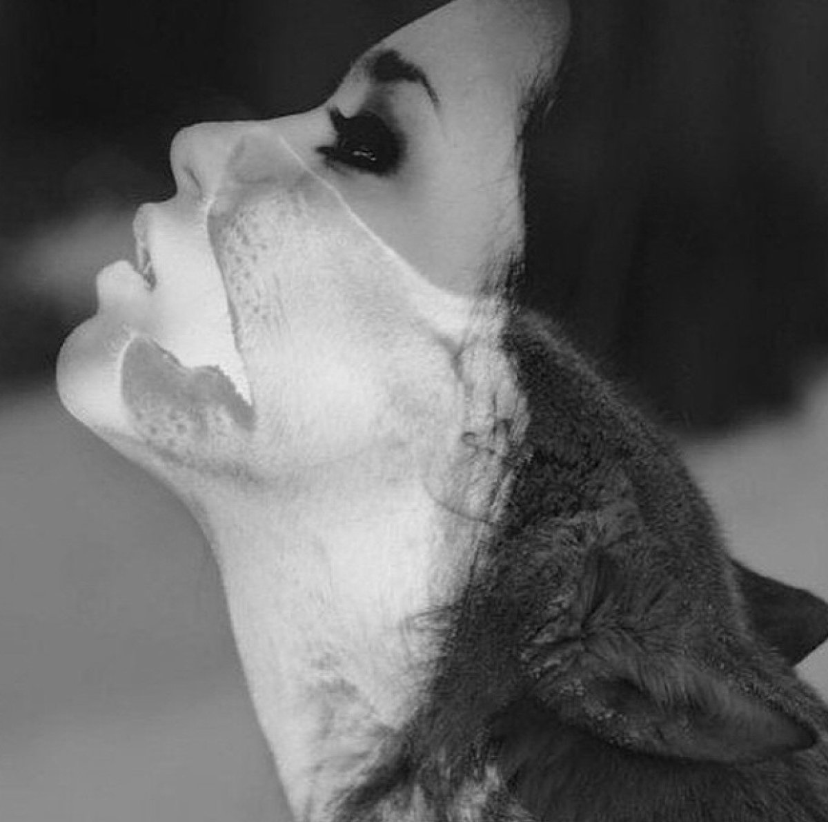 Александр Добронравов волчица