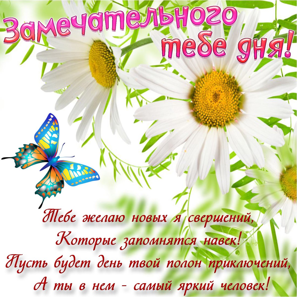 Летнего настроения пожелания