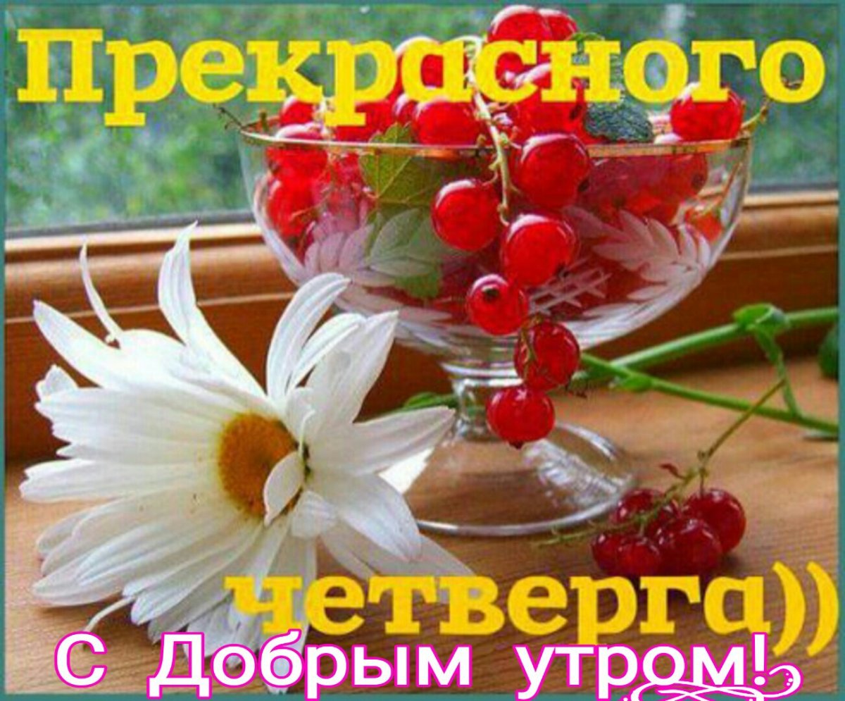 Доброе утро четверга пожелания