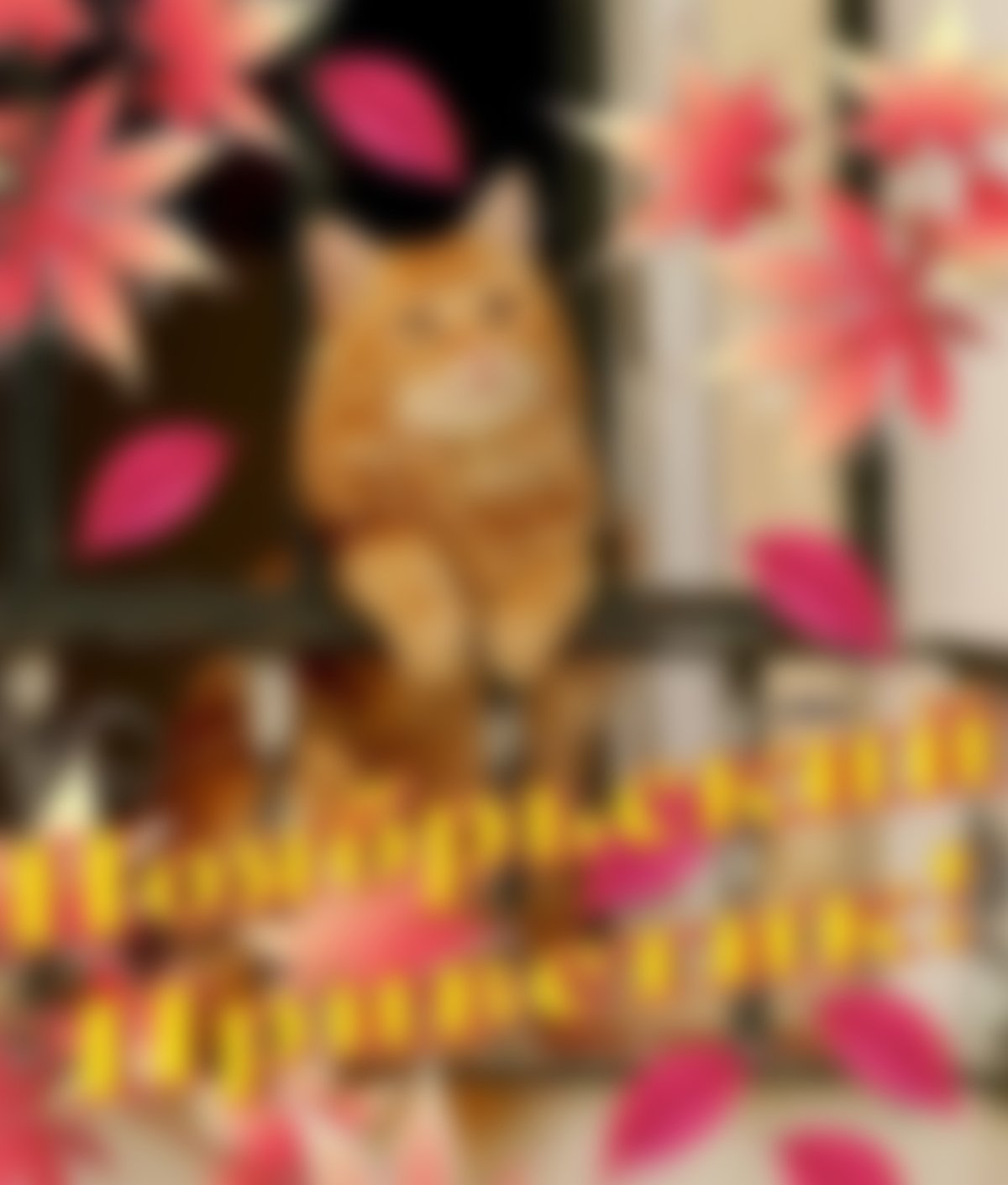 Ноябрьский привет открытки