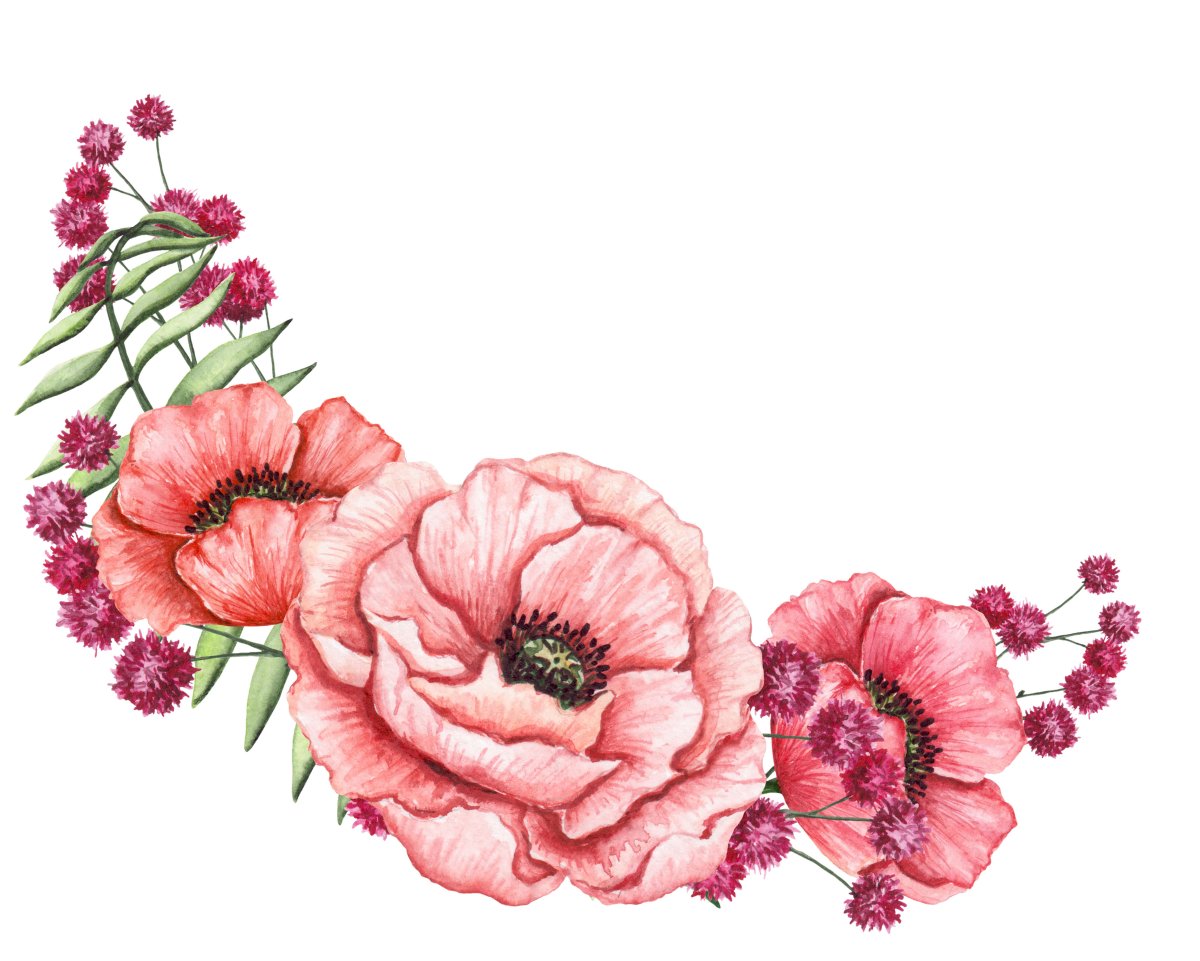 Нарисованные цветы на белом фоне