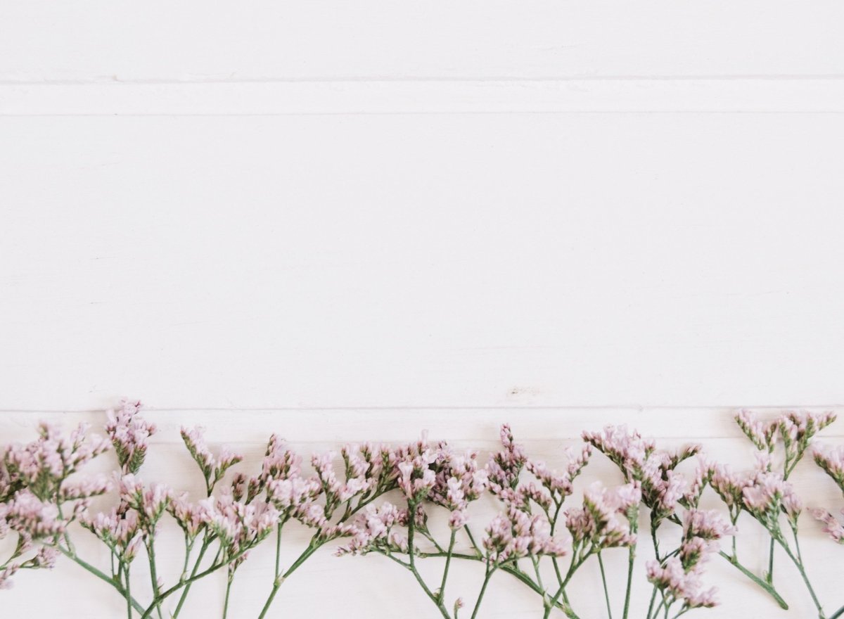 Фон горизонтальный Эстетика