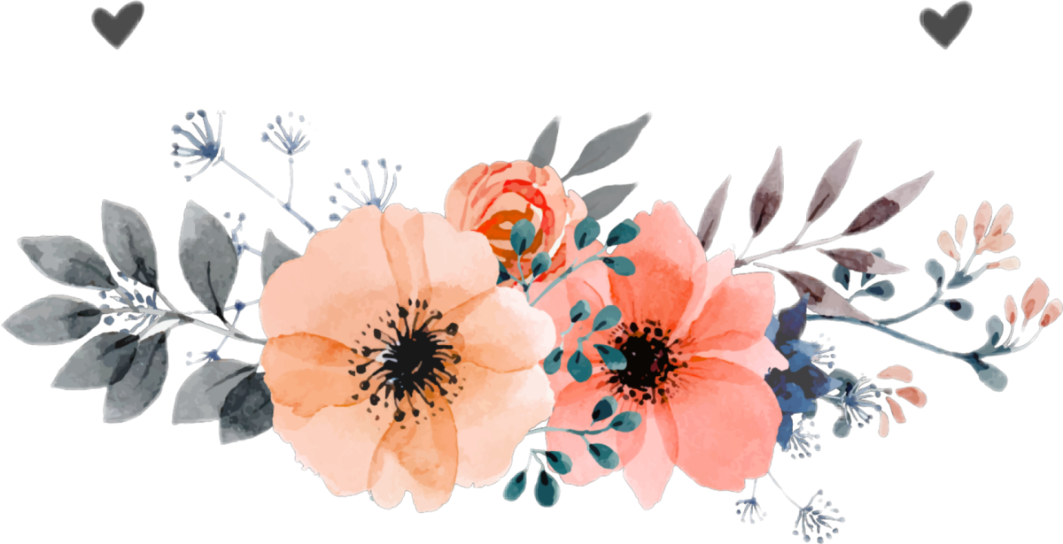 Акварельные цветы без фона