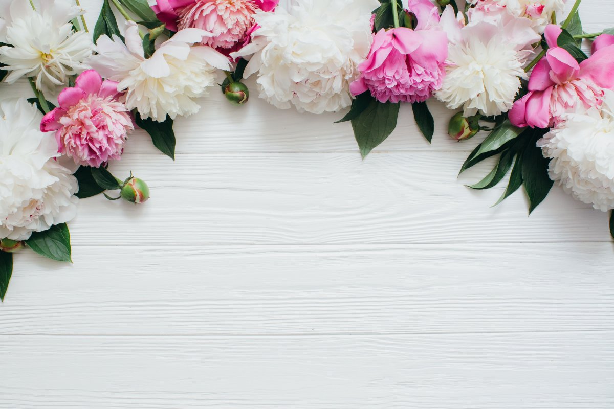 Фотофон пионы