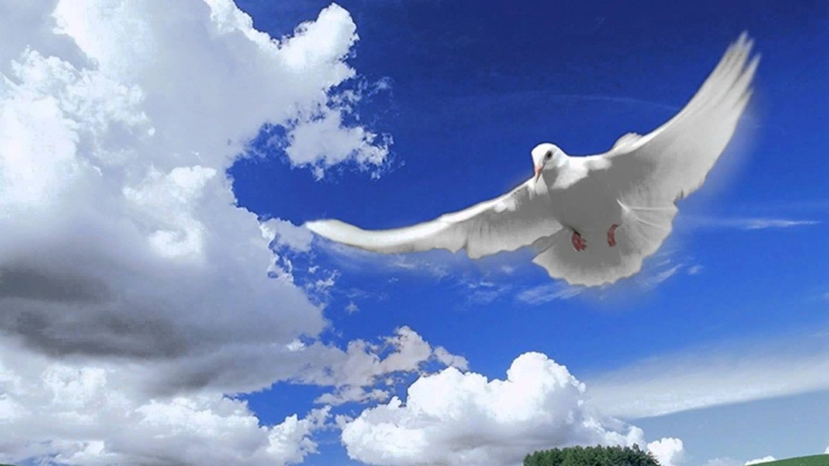 Пусть Господь хранит вас