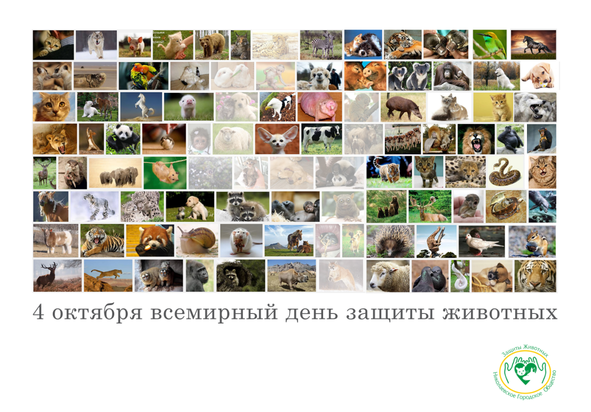 Всемирный день защиты животных