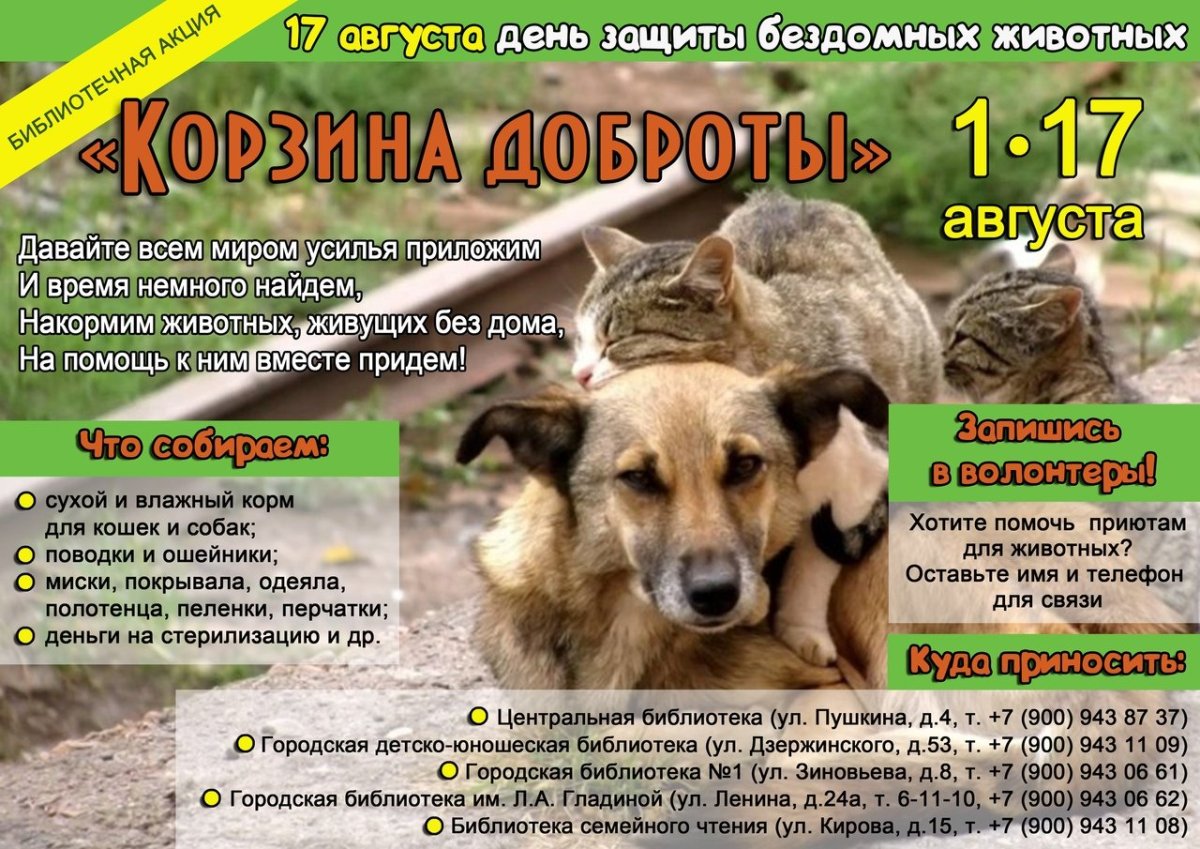 День защиты животных