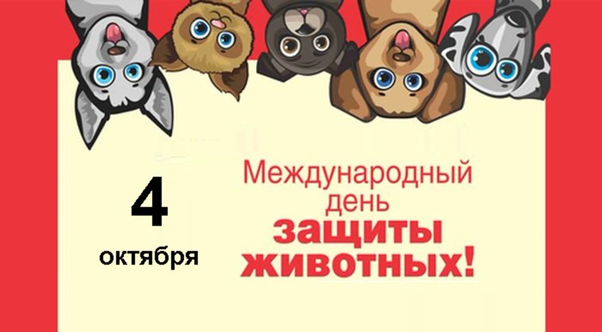 Всемирный день защиты животных