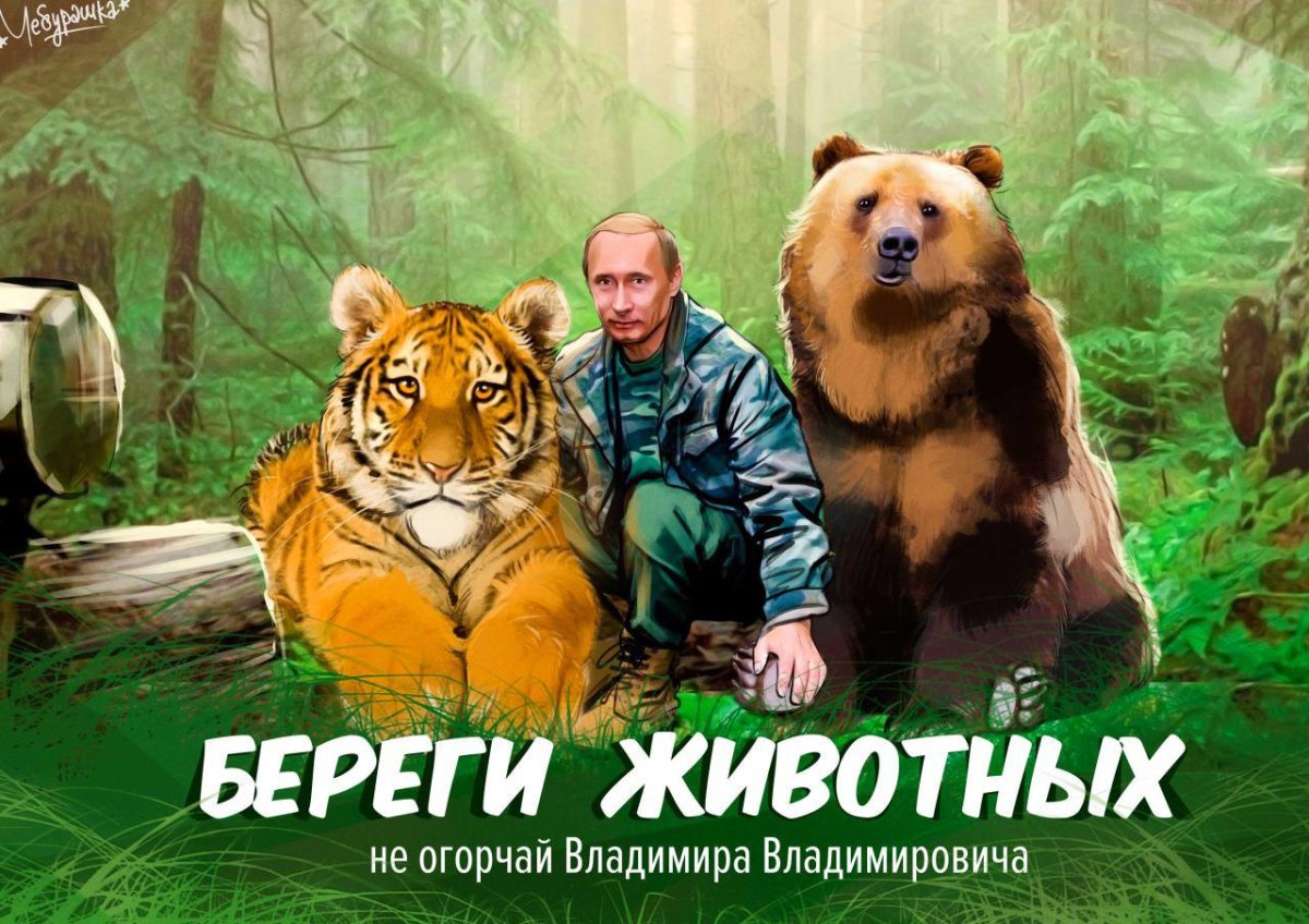 Защита животных