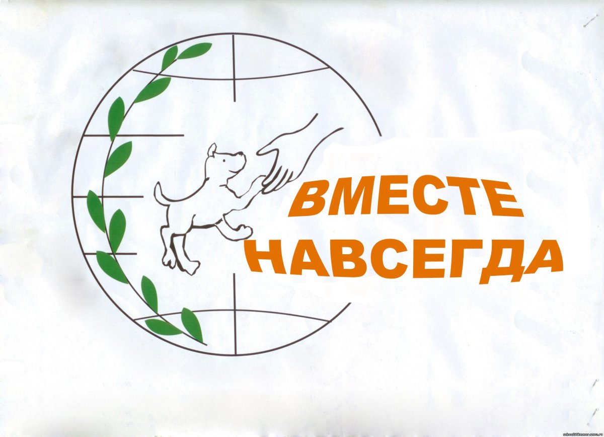 День животных