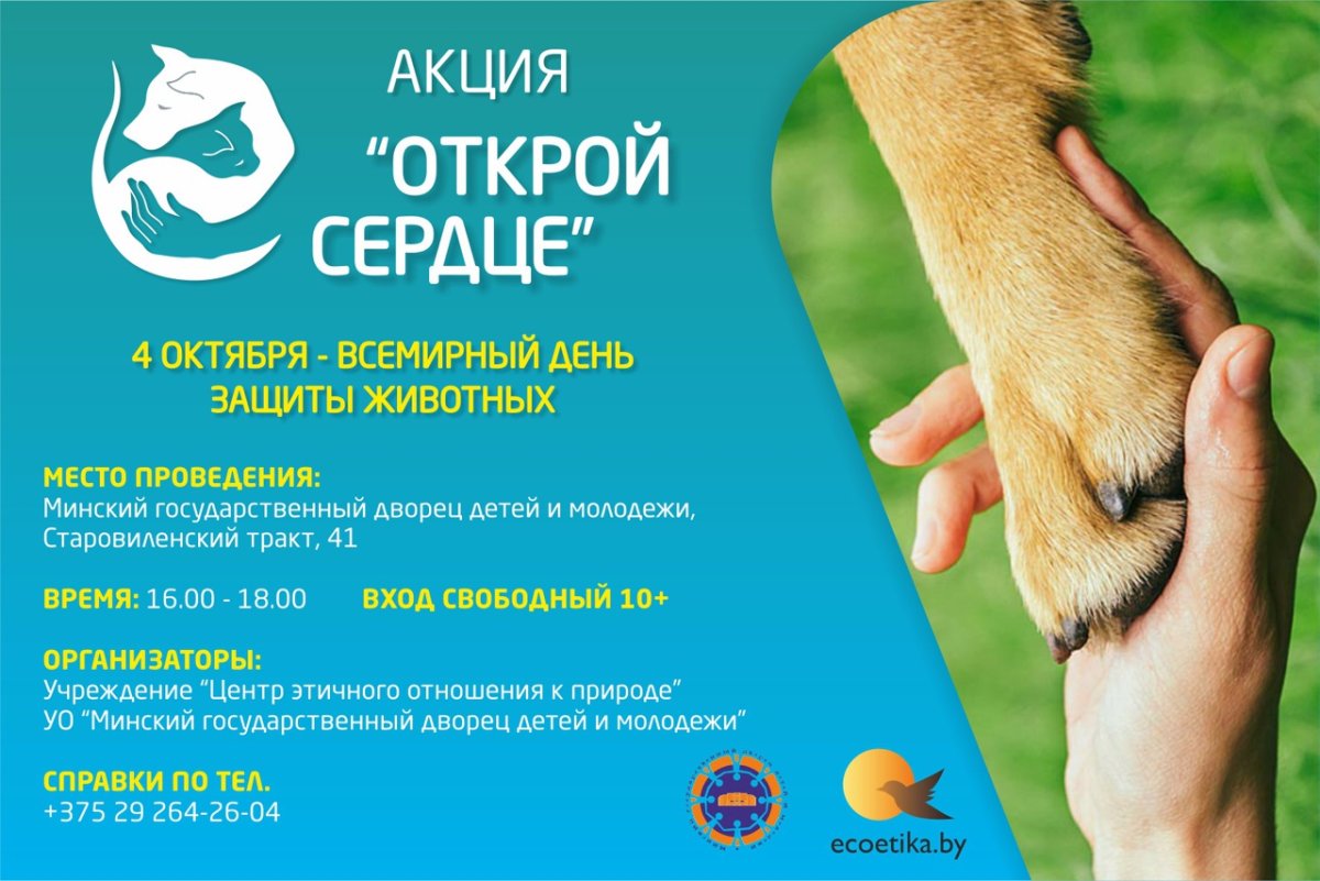 Много животных