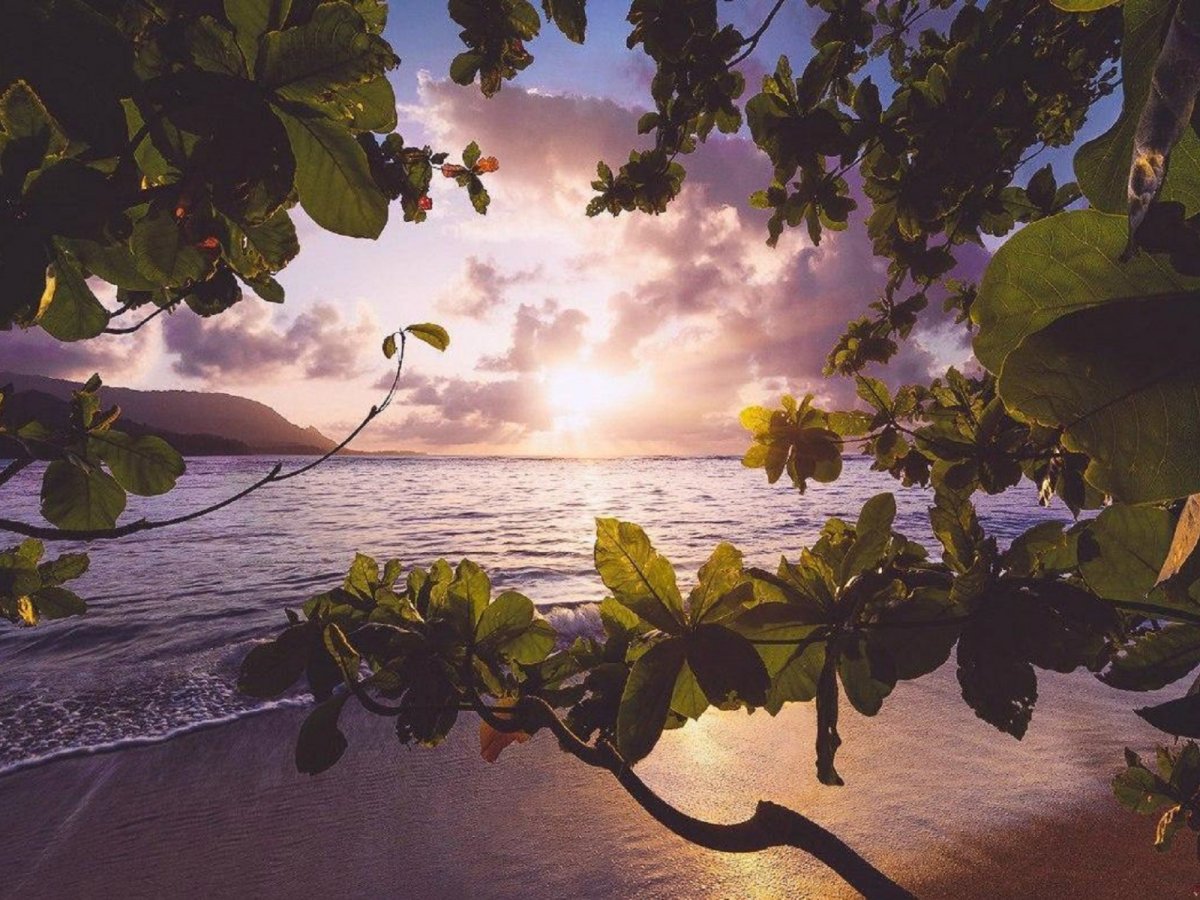 Морской пейзаж