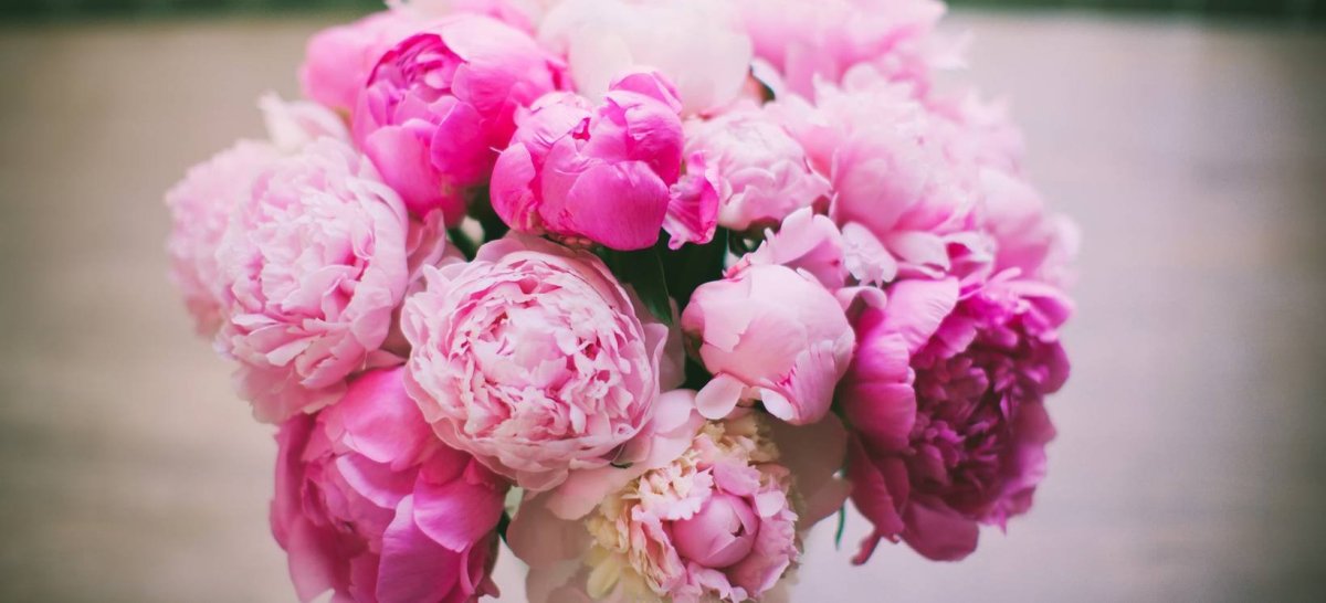 Отдушка пион