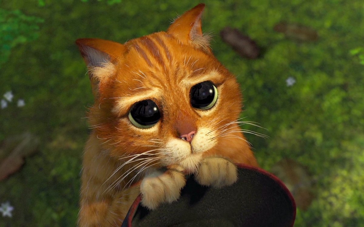 Кот в сапогах Шрек