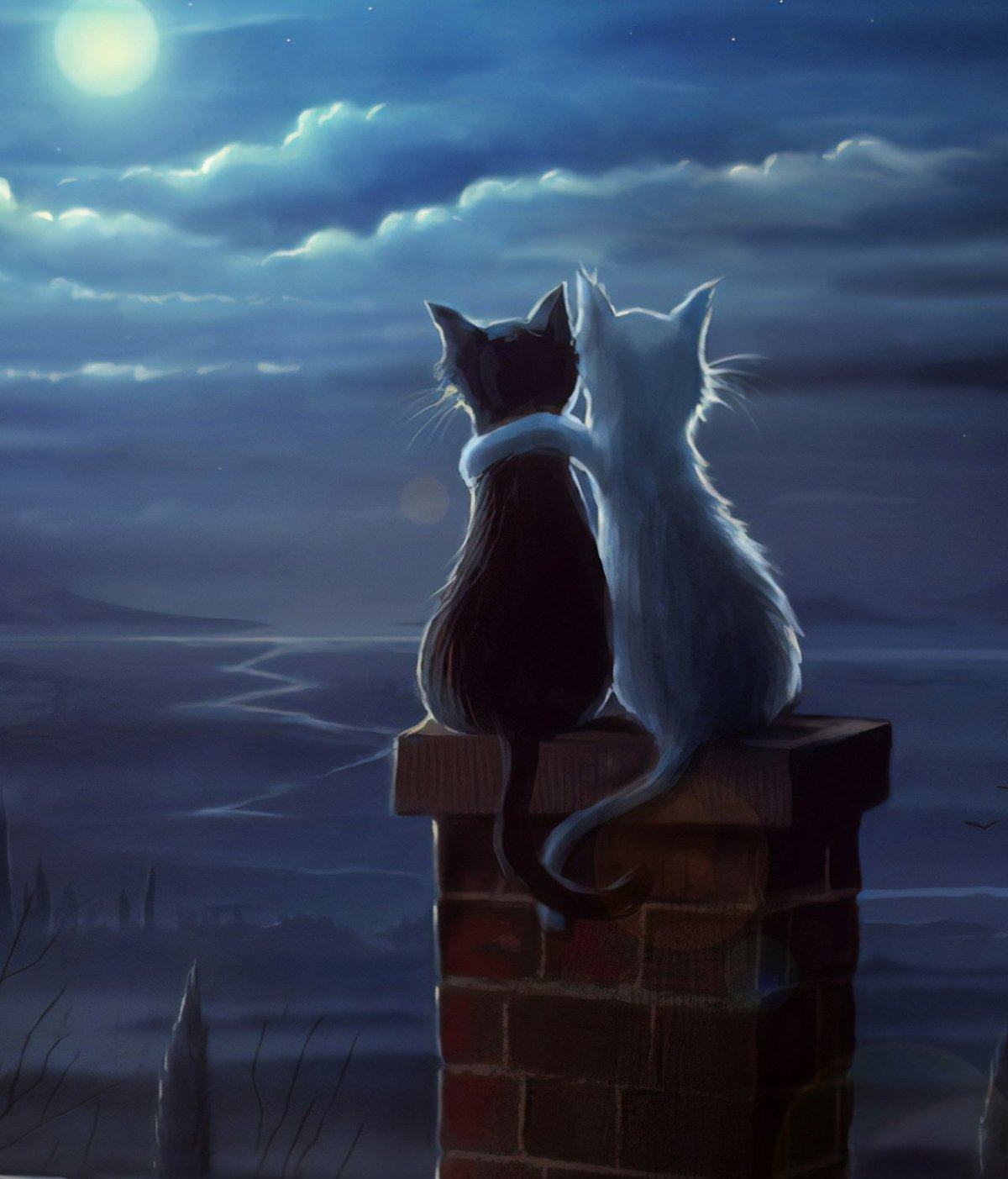 Котики на крыше рисунок