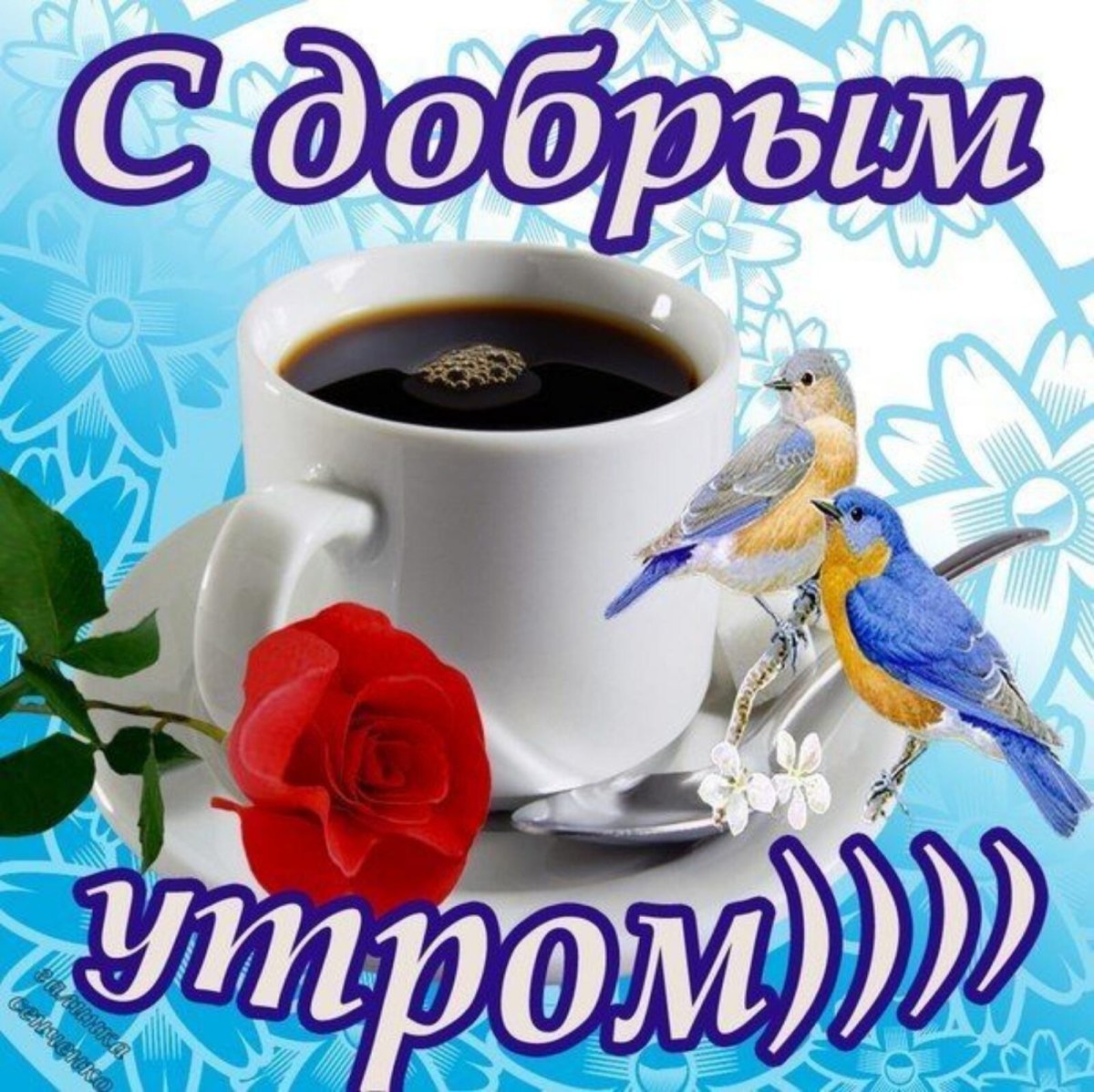 Позитивные пожелания с добрым