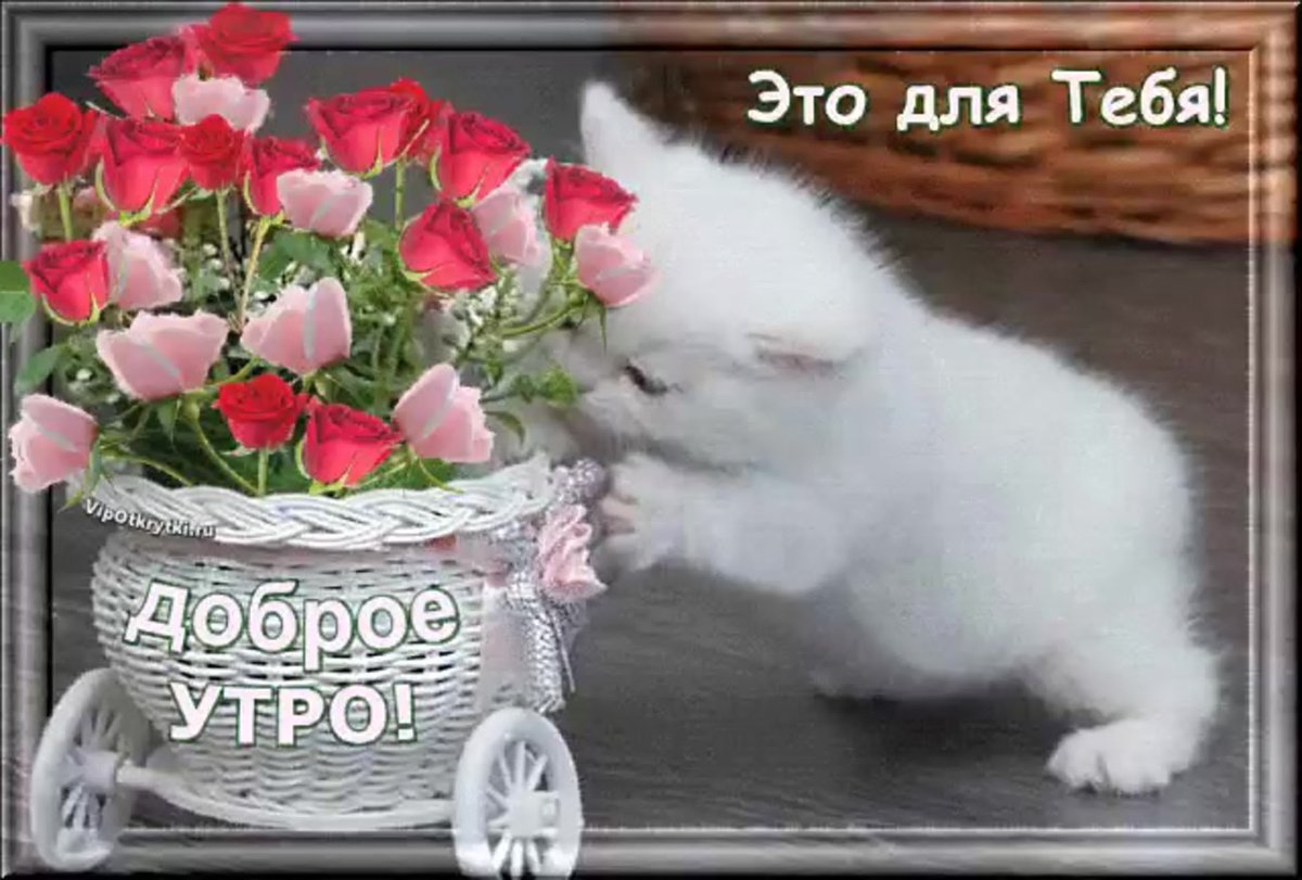 Стильные открытки с добрым утром