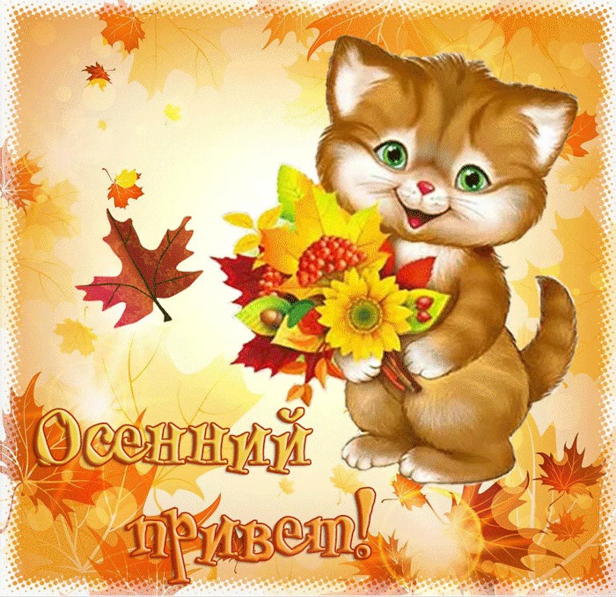 Доброе утро зверюшки