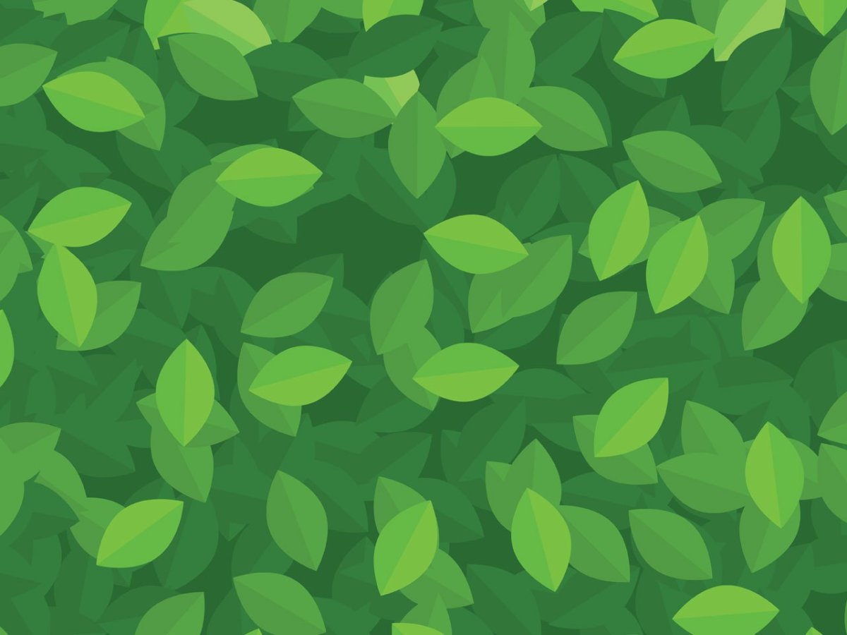 Зеленые листья паттерн