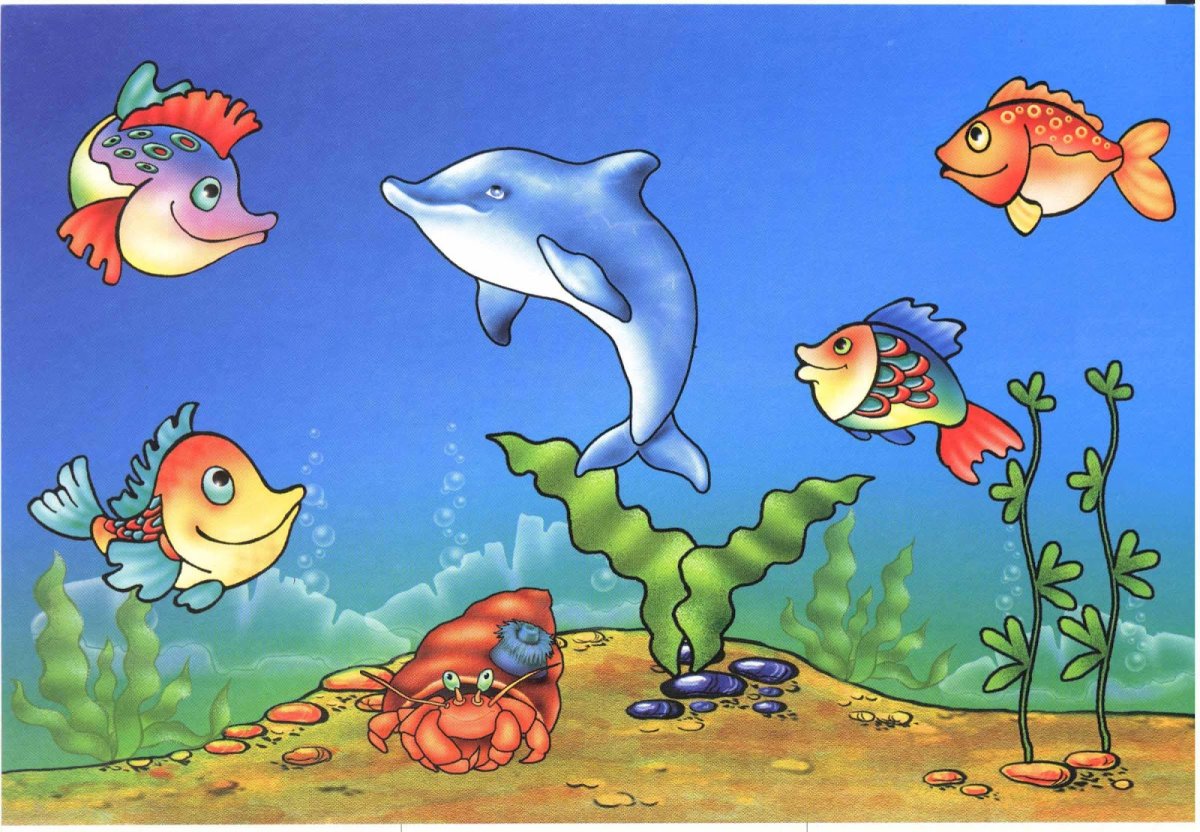 Морские животные для дошкольников