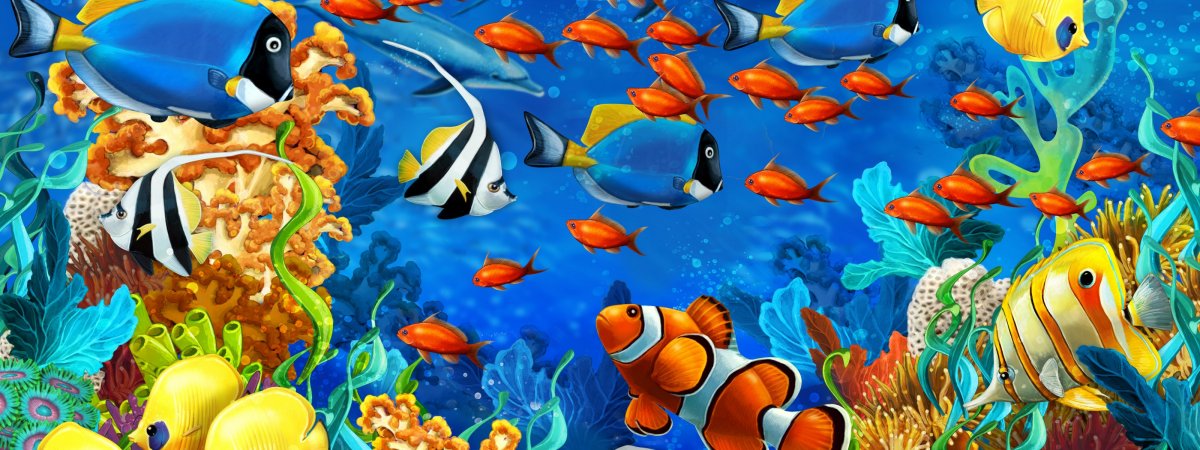 Раскраска морские обитатели