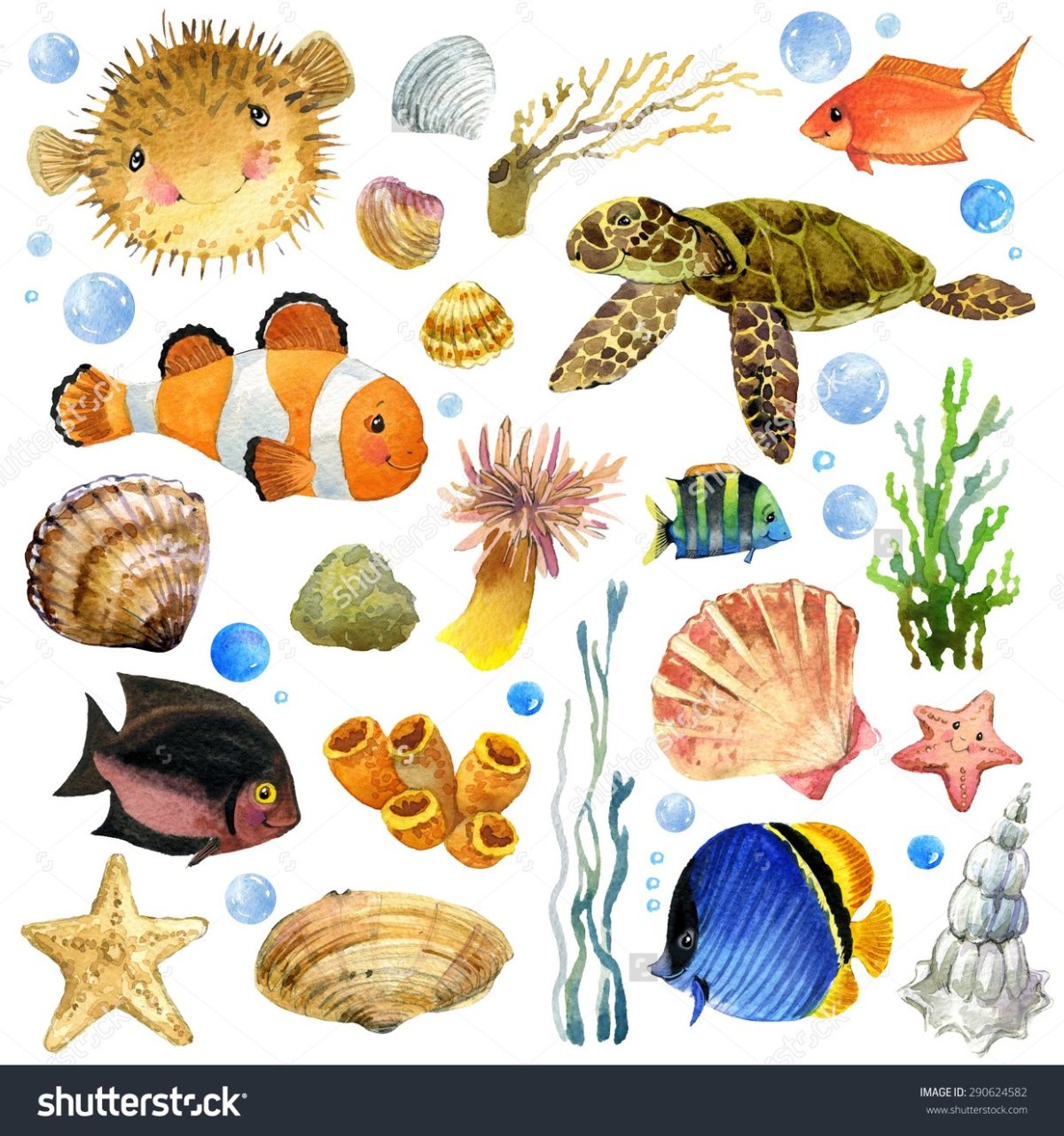 Морские жители на прозрачном фоне