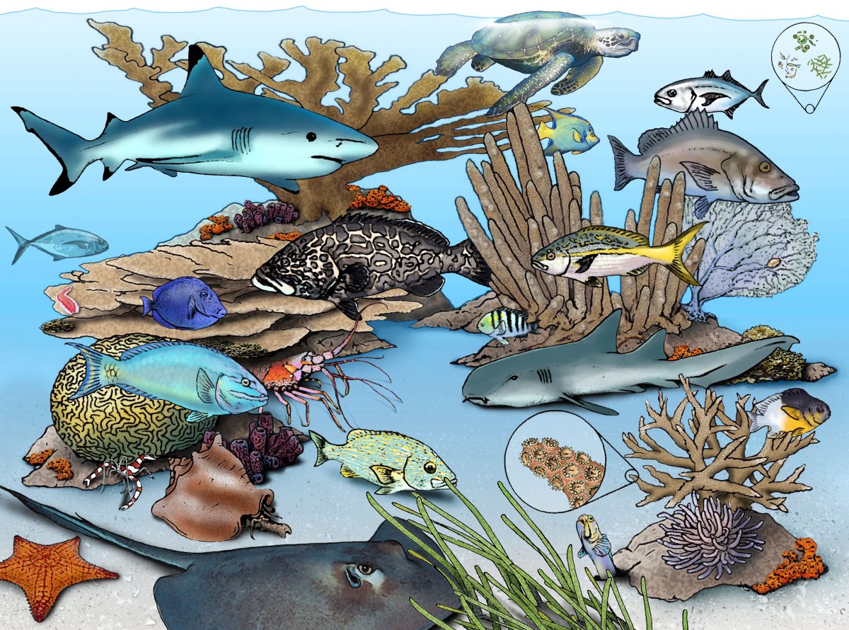 Мультяшная морские жители люди