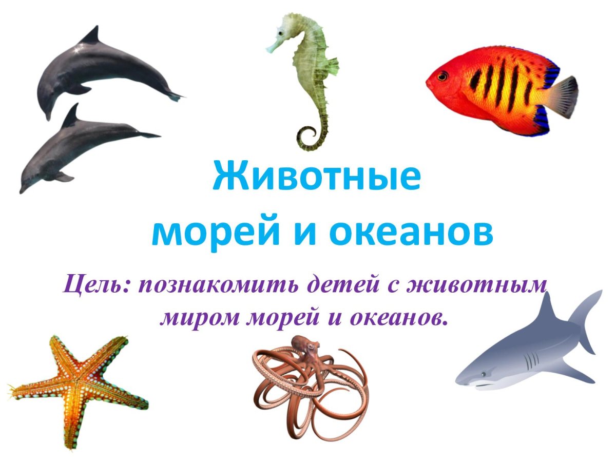 Морская жизнь вектор