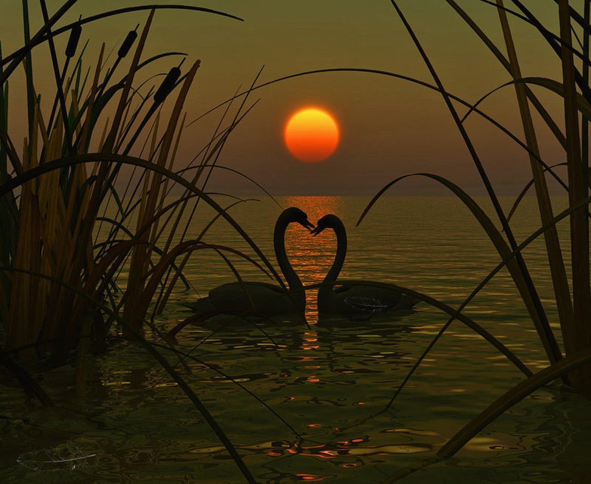 Добрый вечер с котиками