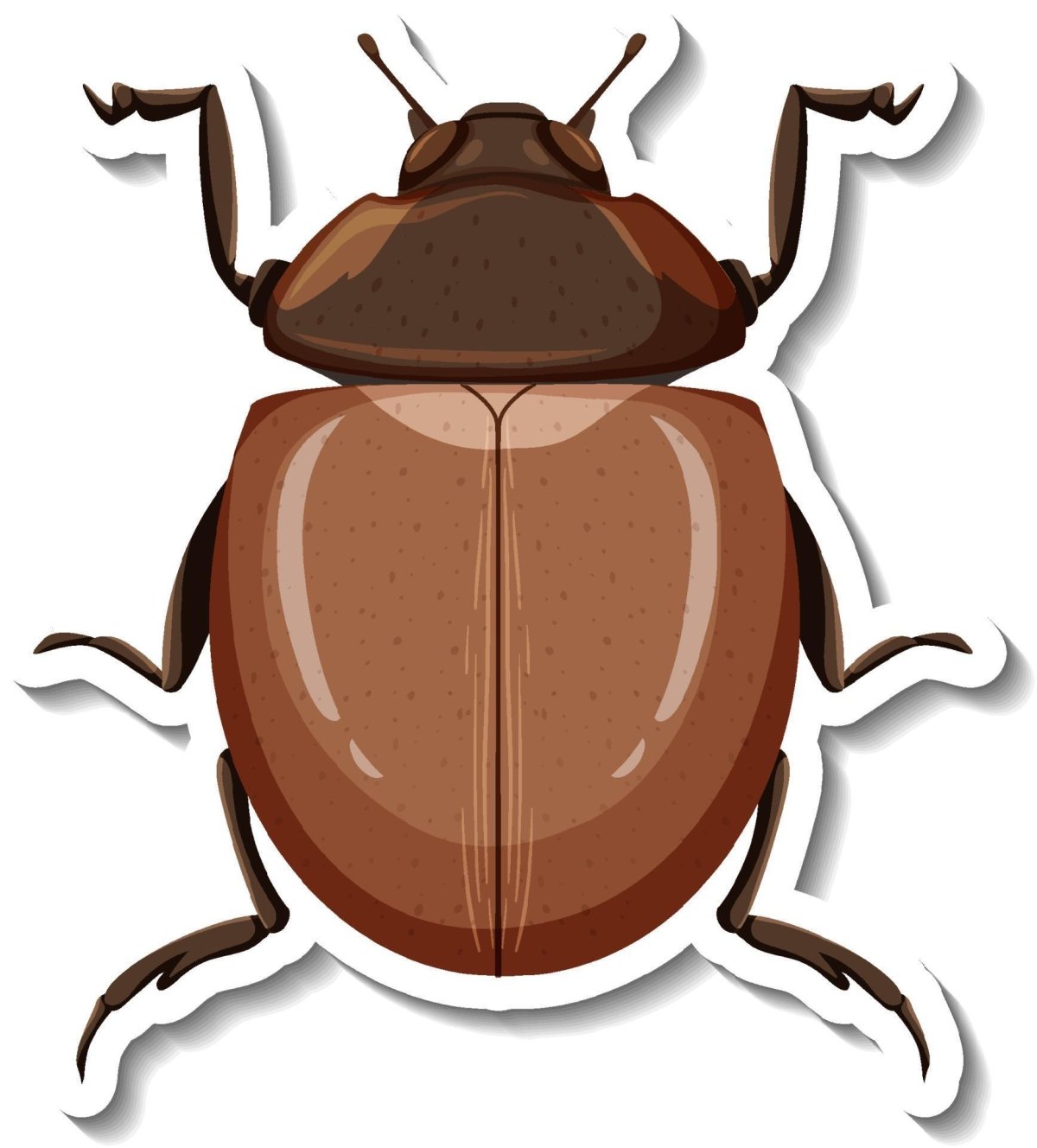 Раскраска Жук и жучок