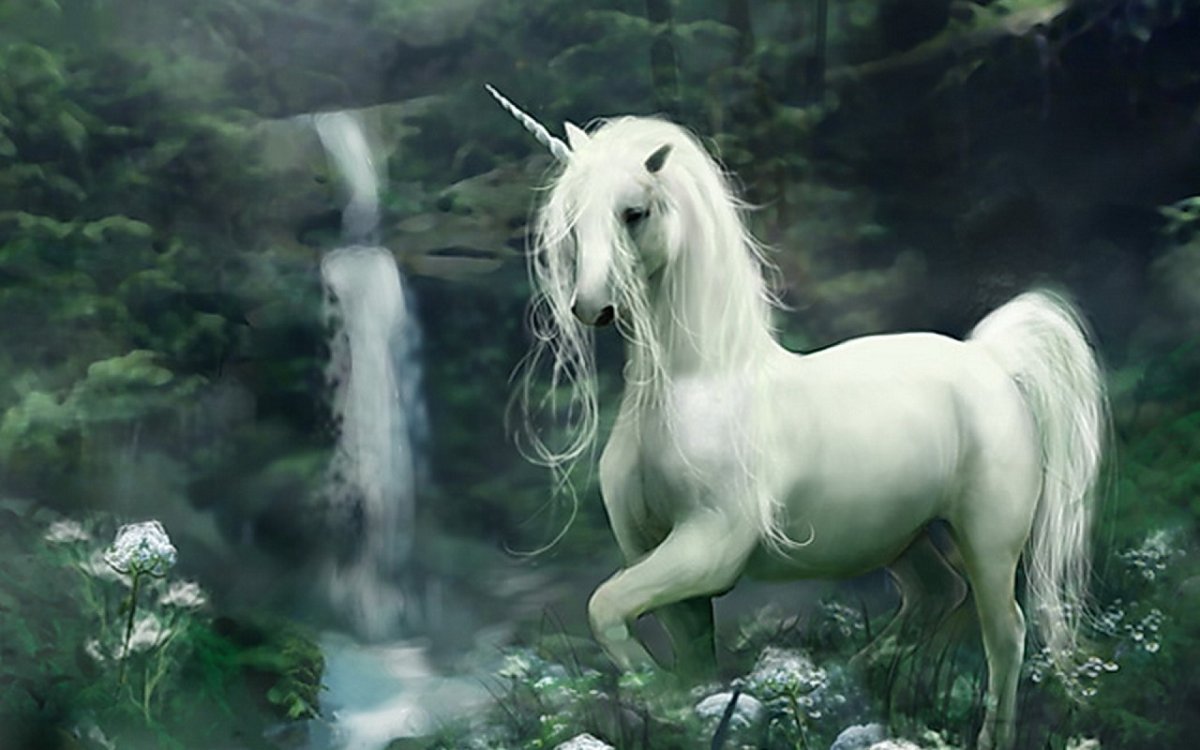 Единорог фото