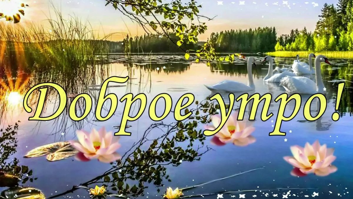 Доброе субботнее утро