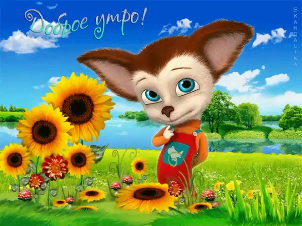 Доброе утро бабушка