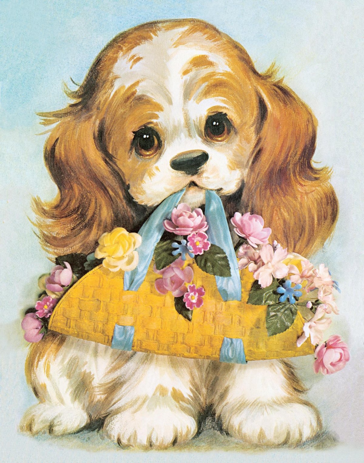 С днём рождения собачки