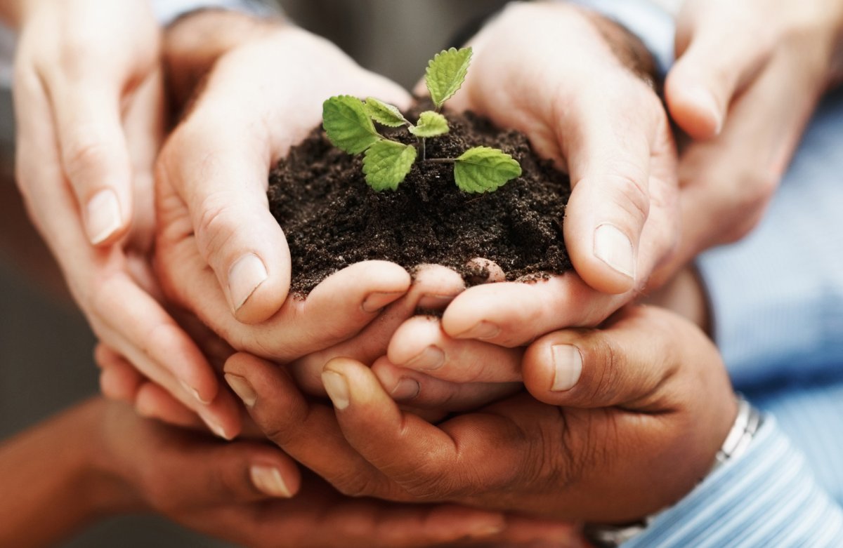 Экологическое сотрудничество