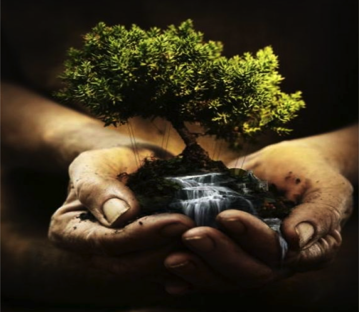 Ценности картинки