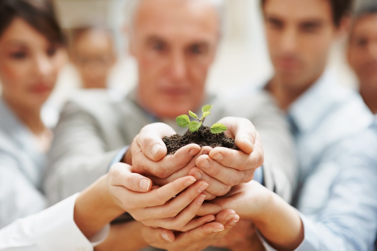 Цветок на руку.