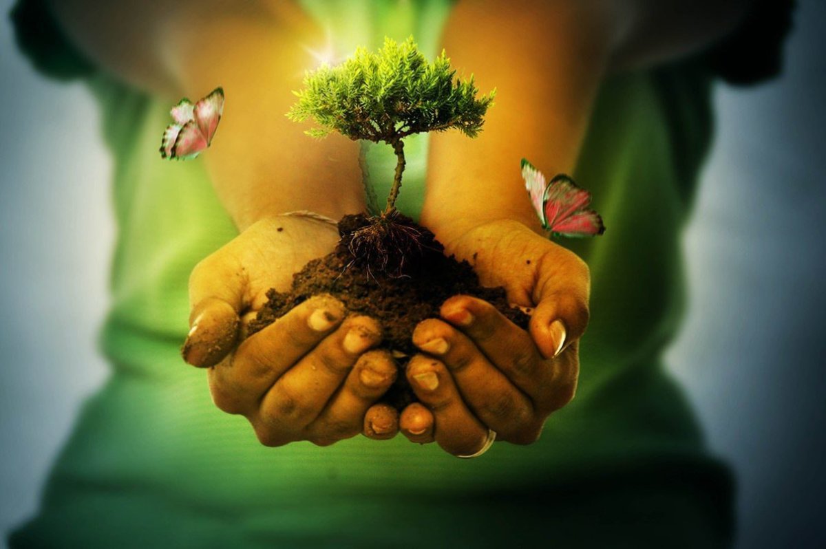 Философская природа