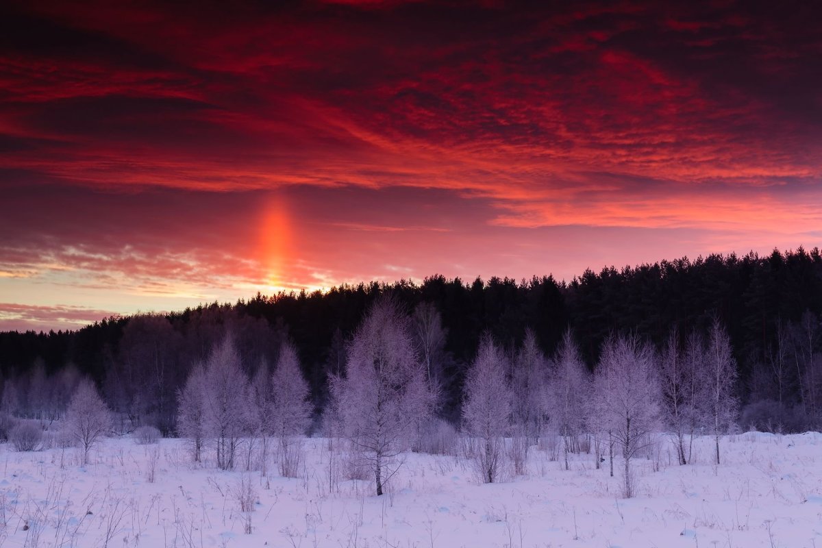 Рассвет зимой