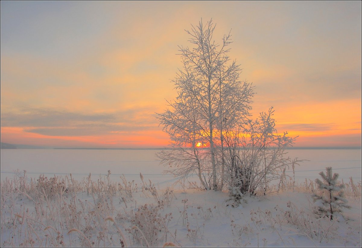 Нежный зимний пейзаж